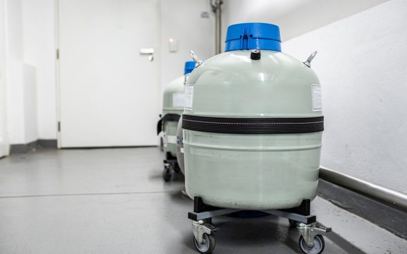 Cryogenic cooling system